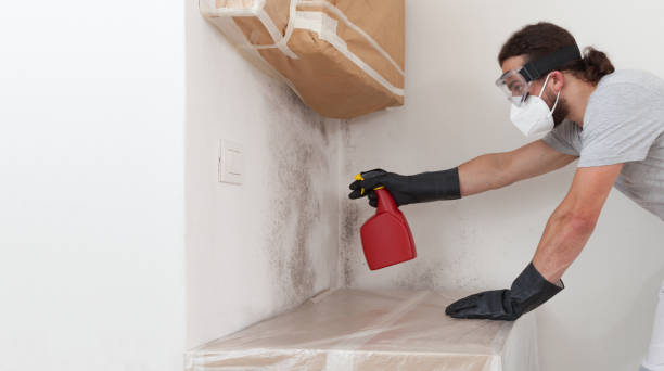 Professional Mold Removal technician working in Boston, VA