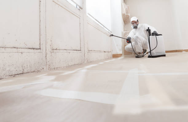 24/7 Emergency Mold Removal experts in Boston, VA